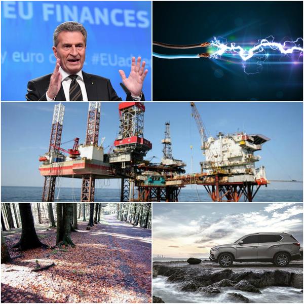 Business report, Foto: Colaj foto