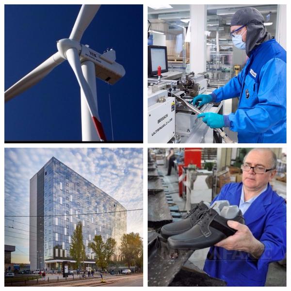 Business report, Foto: Colaj foto