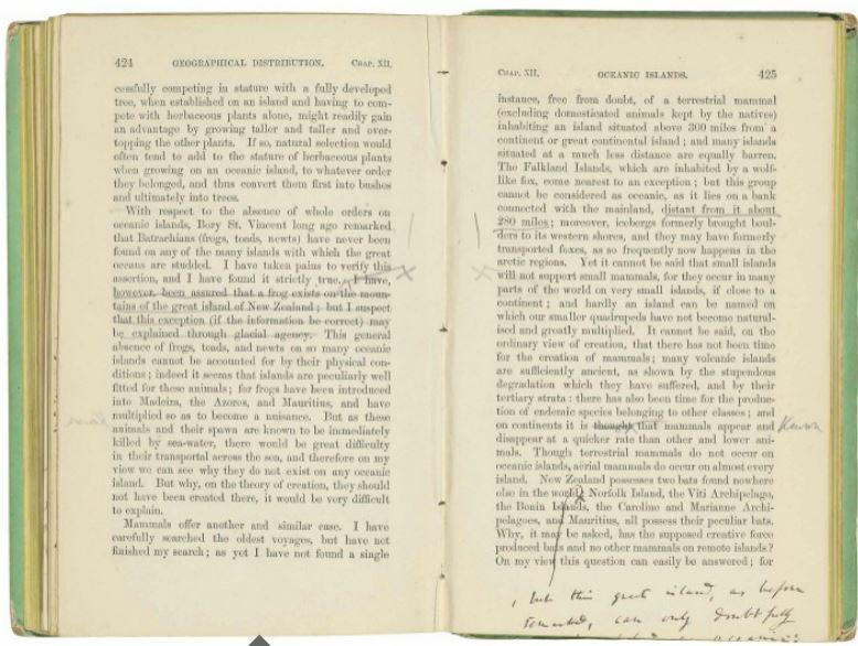 Originea speciilor, adnotata de Darwin, Foto: Christies