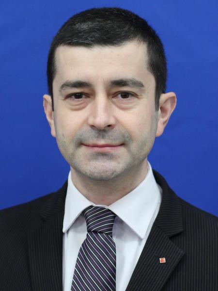 Radu Vasilica, Foto: cdep.ro