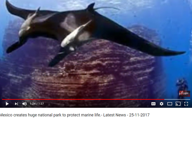 Mexic a construit un parc national, Foto: Captura YouTube