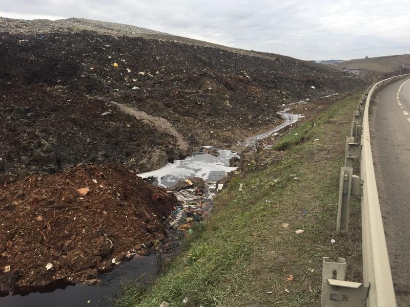 Pata Rat 4, Foto: Garda de Mediu