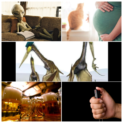 O lume nebuna, Foto: Colaj foto