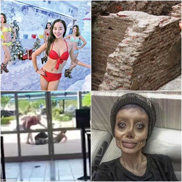 Faze tari, Foto: Colaj foto