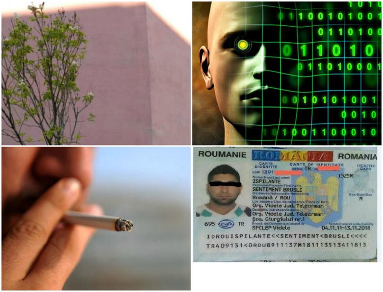 Faze tari, Foto: Colaj foto