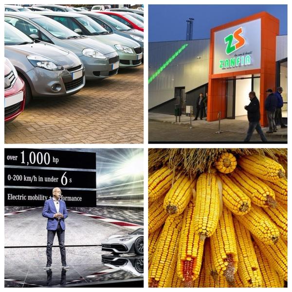 Business report, Foto: Colaj foto