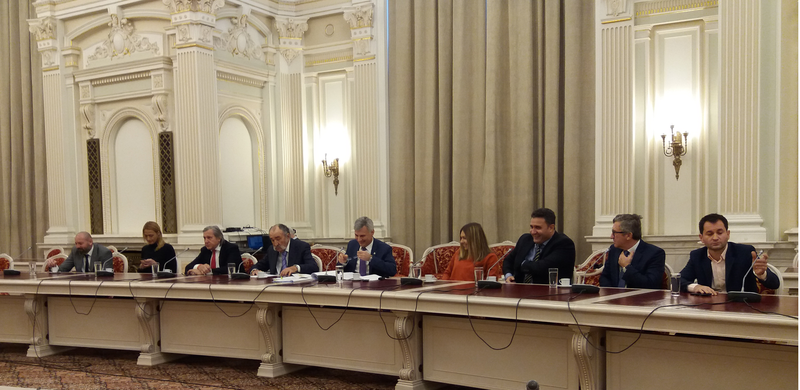 Imagine de la conferinta de presa de luni de la Senat, Foto: Hotnews