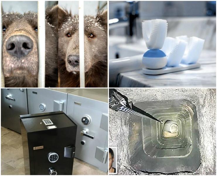 Faze tari, Foto: Colaj foto