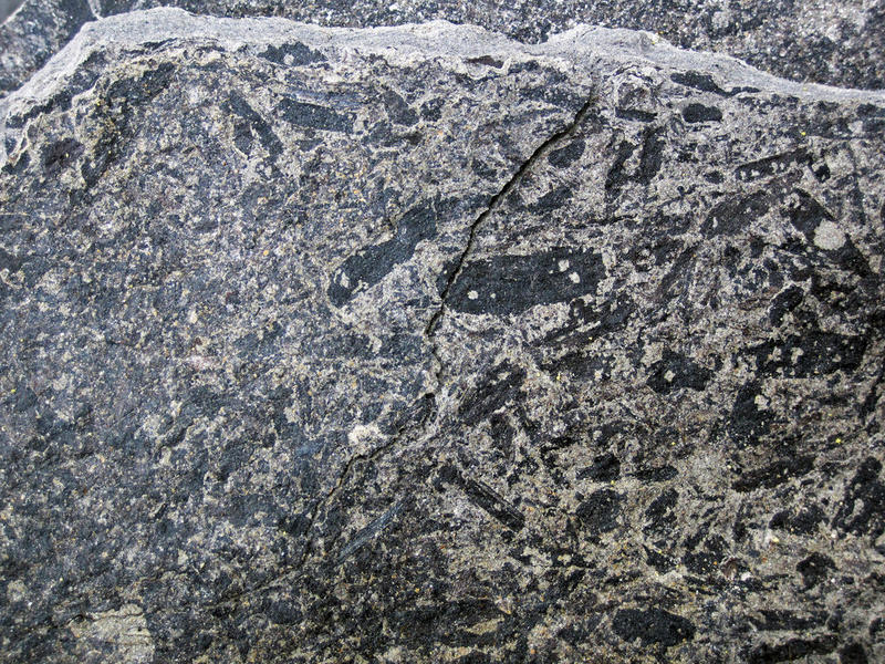 Fosilele cu o vechime de 3,5 miliarde de ani, identificate in Australia, Foto: Flickr