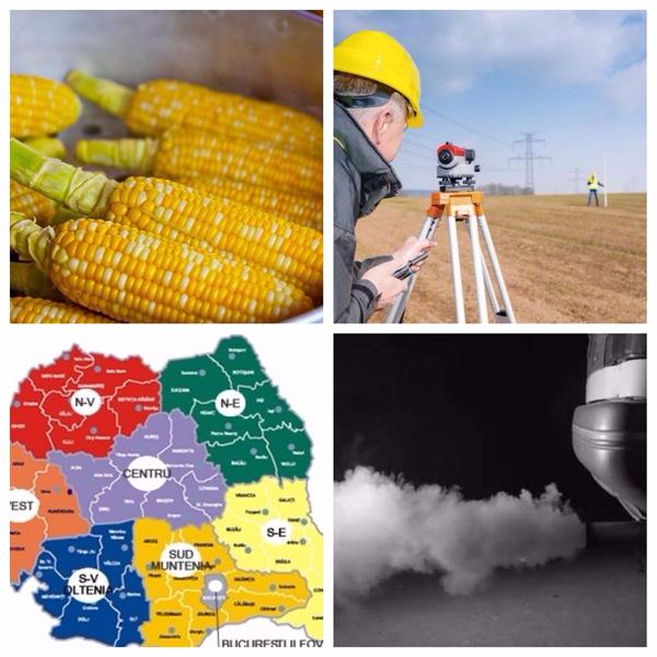 Business report, Foto: Colaj foto