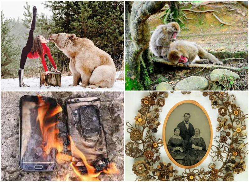 Faze tari, Foto: Colaj foto