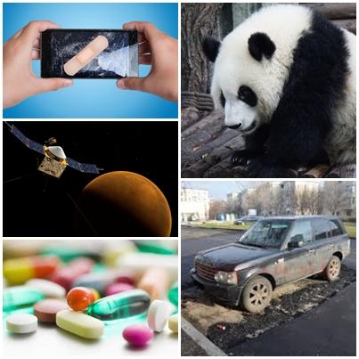 Faze tari, Foto: Colaj foto