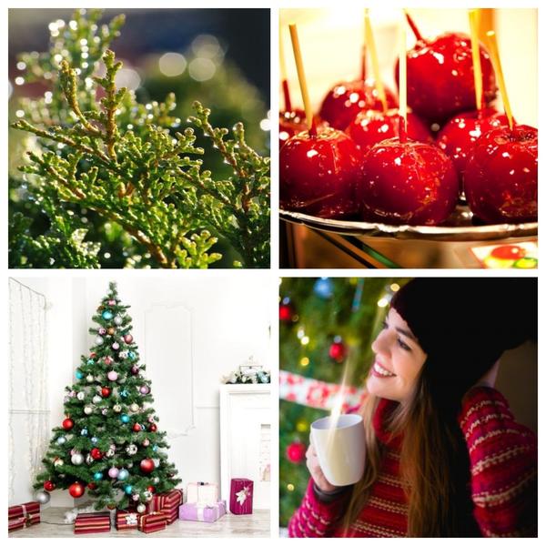 Utile, Foto: Colaj foto