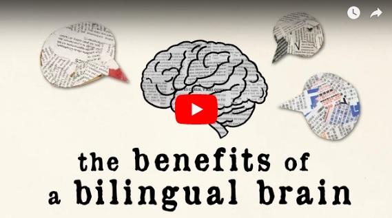 Beneficiile cunoasterii unei limbi straine, Foto: YouTube
