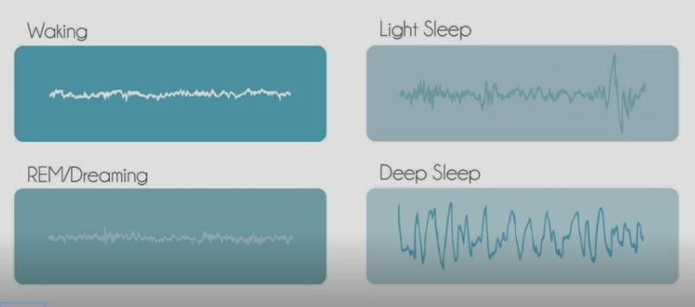 Stadiile somnului, Foto: Captura ecran