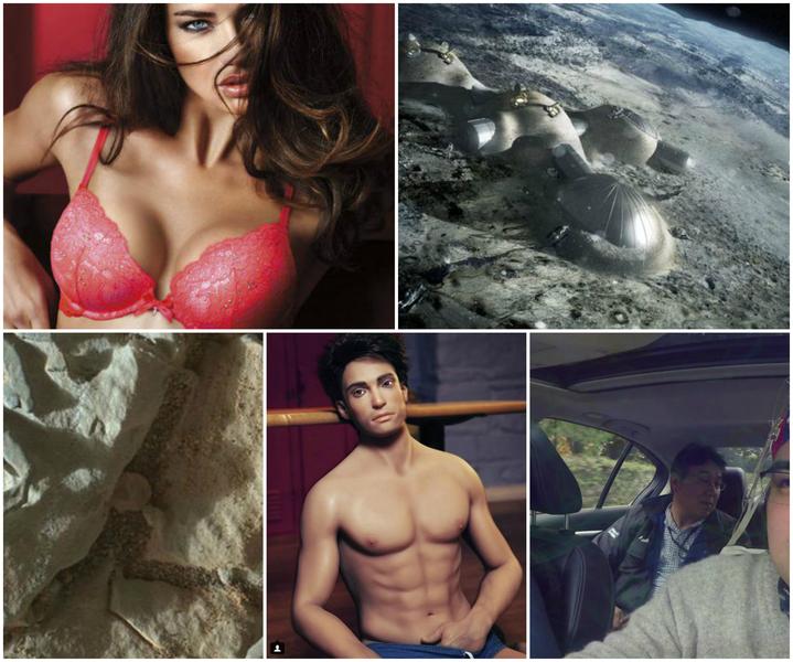 Faze tari, Foto: Colaj foto