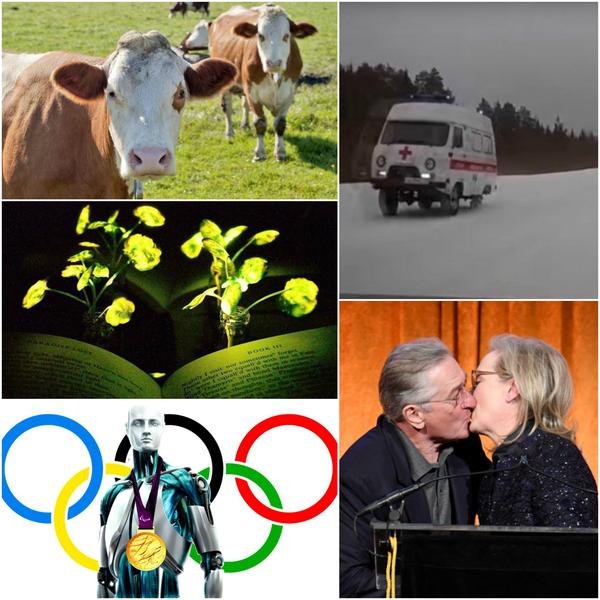 Faze tari, Foto: Colaj foto