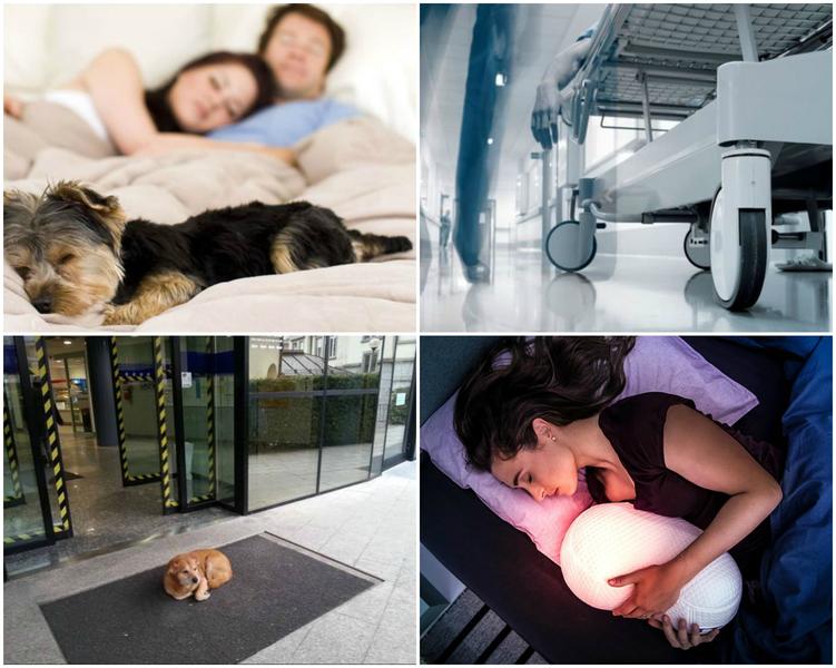 Faze tari, Foto: Colaj foto