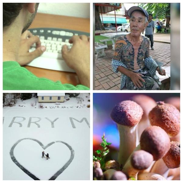 Faze Tari, Foto: Colaj foto