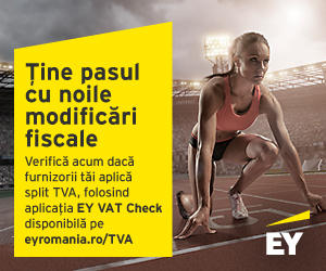 EY VAT Check, Foto: EY Romania