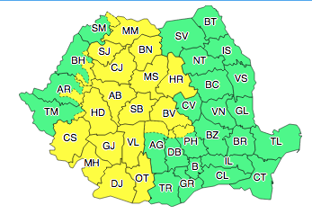 Cod galben ninsori si lapovita, Foto: ANM