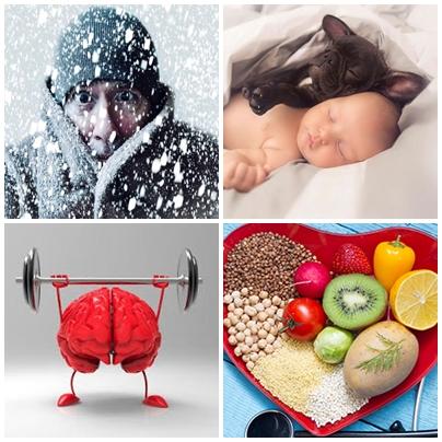 Utile, Foto: Colaj foto