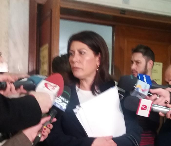 Mirela Calugareanu, sefa ANAF, Foto: Hotnews