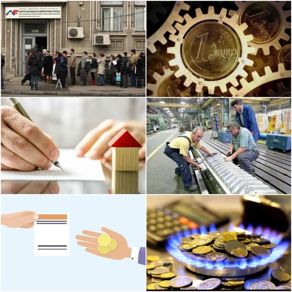 Business report, Foto: Colaj foto