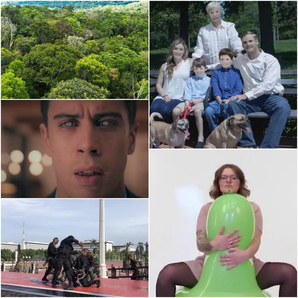 Faze tari, Foto: Colaj foto