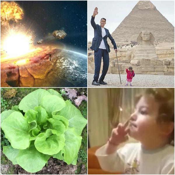 Faze tari, Foto: Colaj foto