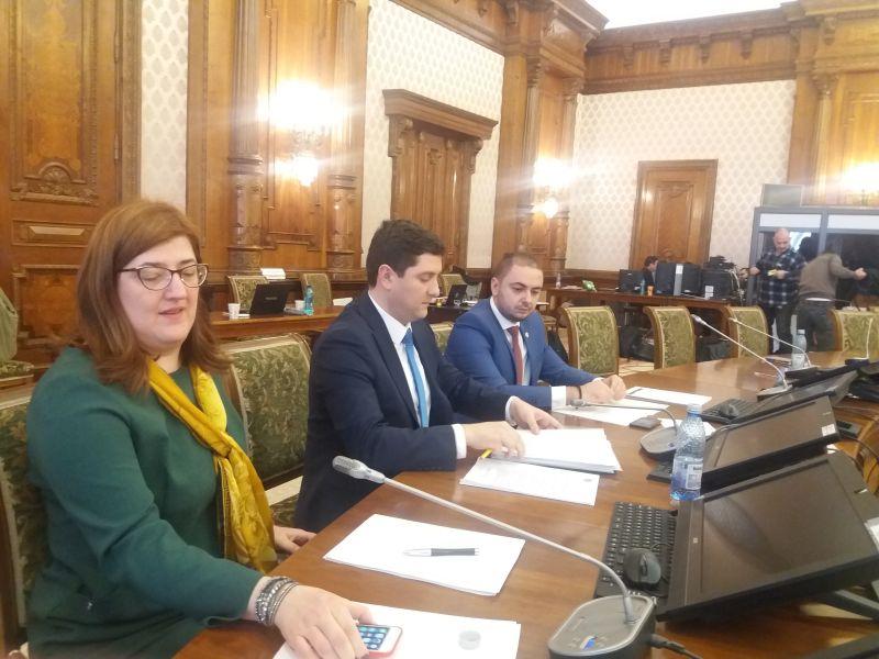 Bogdan Cojocaru (mijloc) si secretarii de stat din Comunicatii, Foto: Hotnews