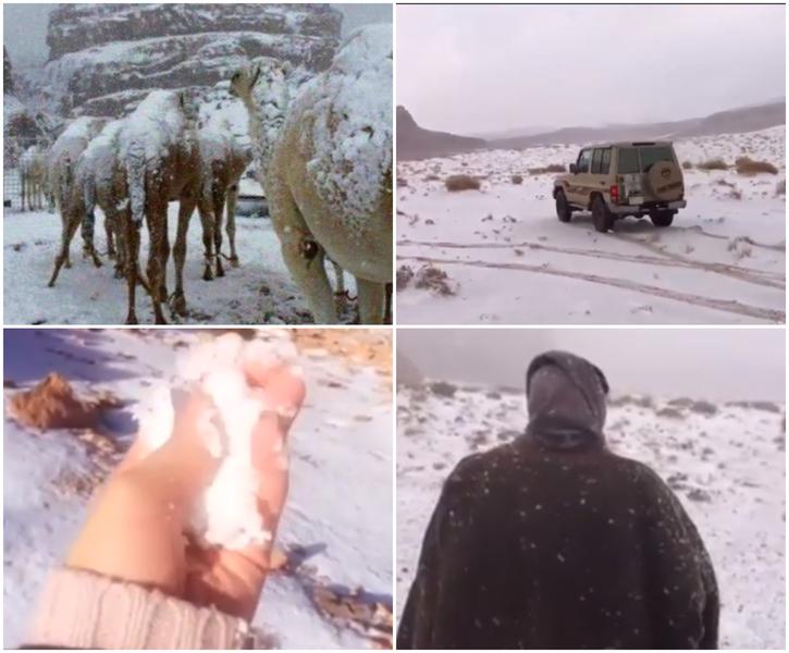 A nins in desertul din Arabia Saudita, Foto: Captura YouTube