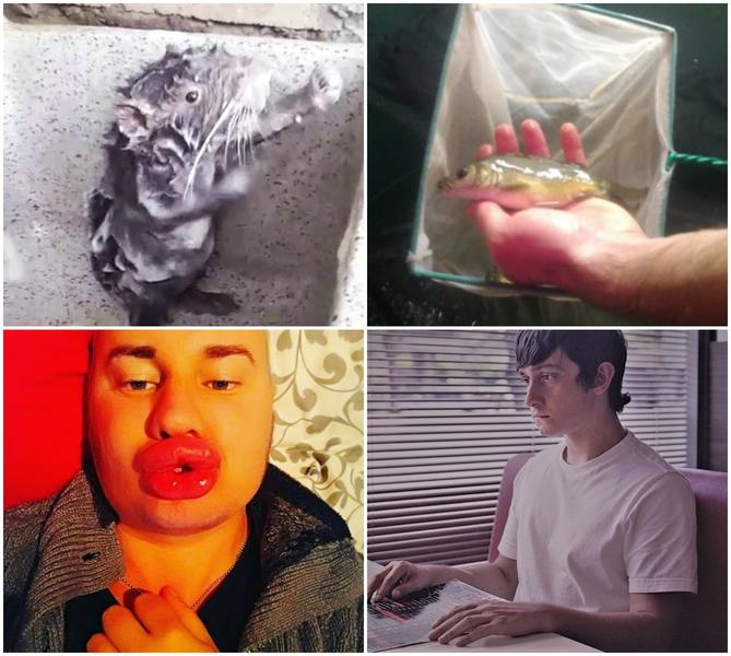 Faze tari, Foto: Colaj foto