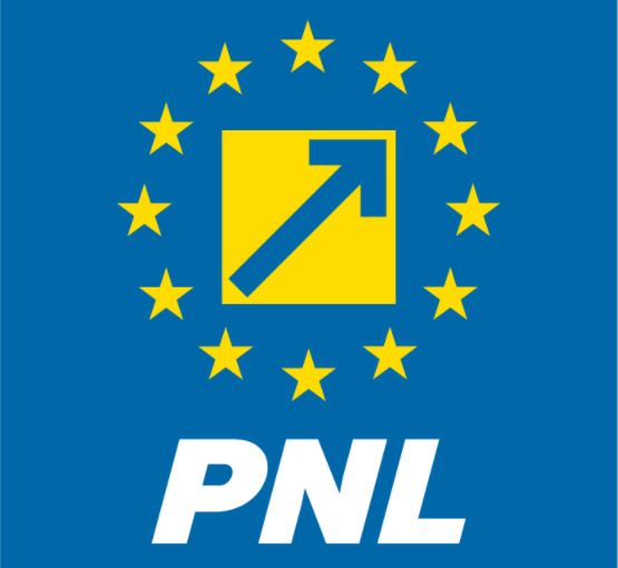 Sigla PNL, Foto: Facebook/ Partidul National Liberal