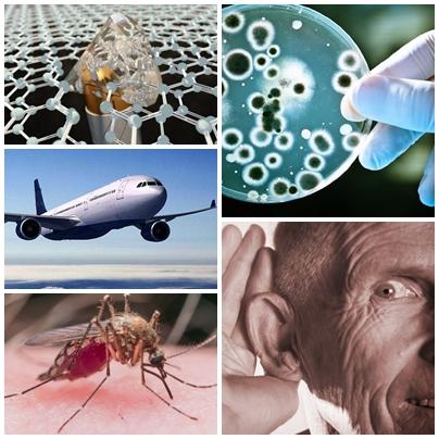 Faze tari, Foto: Colaj foto