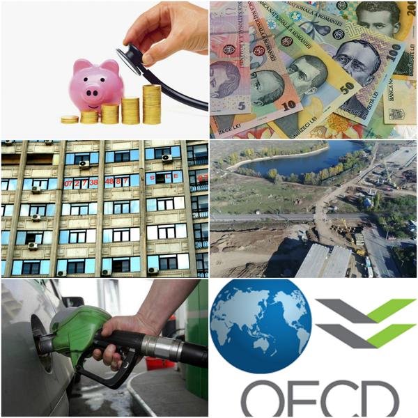 Business report, Foto: Colaj foto