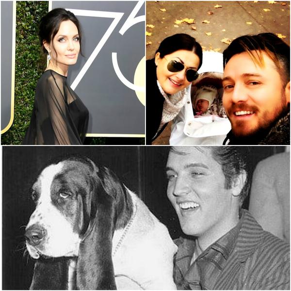 Caru' cu vedete, Foto: Colaj foto