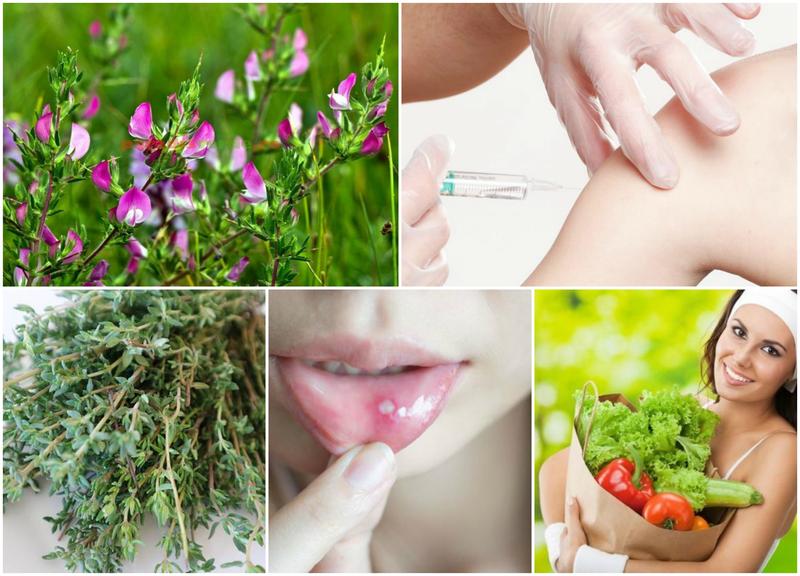 Utile, Foto: Colaj foto