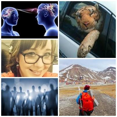 Faze tari, Foto: Colaj foto