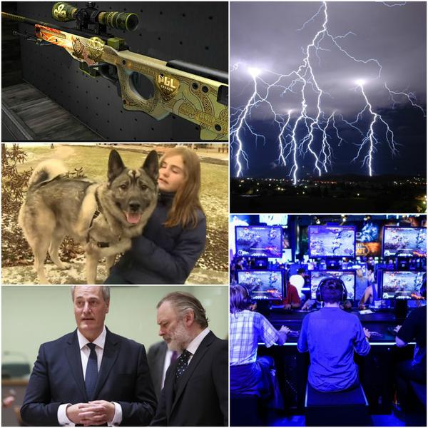 Faze tari, Foto: Colaj foto