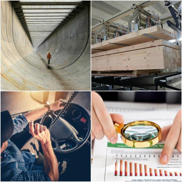 Business report, Foto: Colaj foto