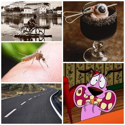 Faze tari, Foto: Colaj foto