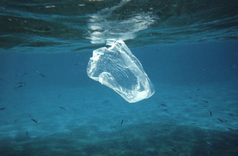 Plasticul din oceane, Foto: photolib.noaa.gov