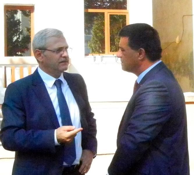 Liviu Dragnea si Niculae Badalau, Foto: Agerpres