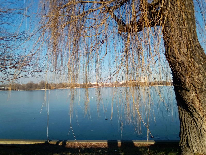 Parcul Herastrau, Foto: USER UPLOADED
