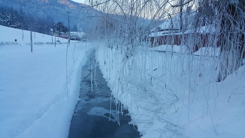 Peisaj de iarna, Foto: Vlad Barza / HotNews.ro