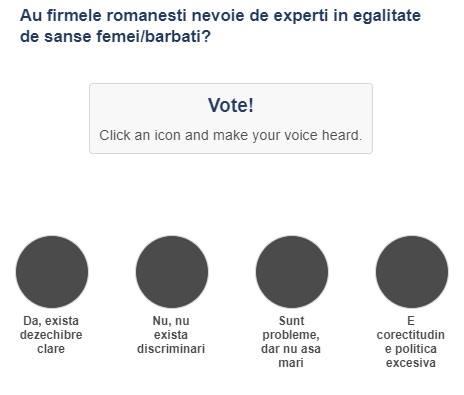 Sondaj experti egalitate de sanse, Foto: Hotnews