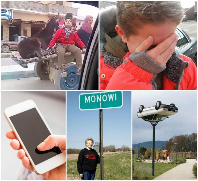 Faze tari, Foto: Colaj foto