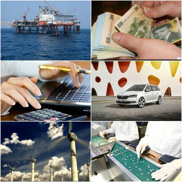 Business report, Foto: Colaj foto