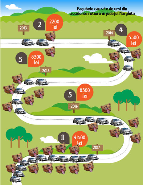 Pagube cauzate de ursi in Harghita, Foto: CJ Harghita